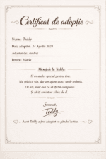 Ursulet Teddy Cartoon Personalizat  V1